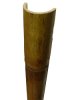 Бамбук сорт Талда, d=20-30мм, 1|2 ствола обожженый L=2.8-3м