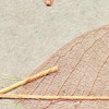Cosca Лакшери Листья Прима Азуль, 10х0,91 м