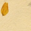 Cosca Лакшери Листья Сомбара Креме, 5,5х0,91 м