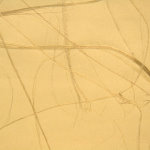 Натуральные обои Cosca Раджанг, обои, 10х0,91 м