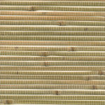 Натуральные обои Cosca Тропикана, 5,5х0,91 м