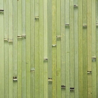 Бамбук. полотно 12мм, ЛАЙМ зеленое, ширина 1,8м