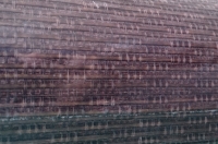 Обои Rodeka бамбук-тростник GPW R 242, 0,91Х10м